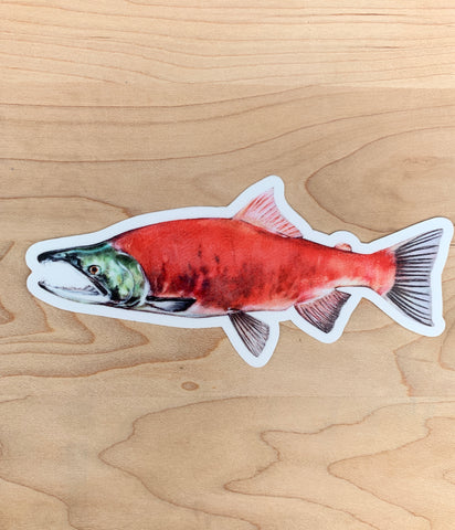 Kokanee Salmon - Idaho Artist Sticker