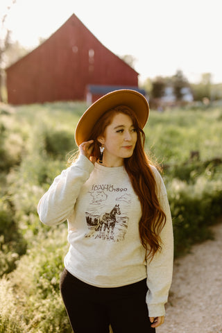 Celebrate Idaho Appaloosa Sweatshirt