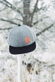 Iron Pine Modern Wool Strapback