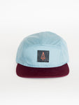 Iron Pine leather patch classic strapback